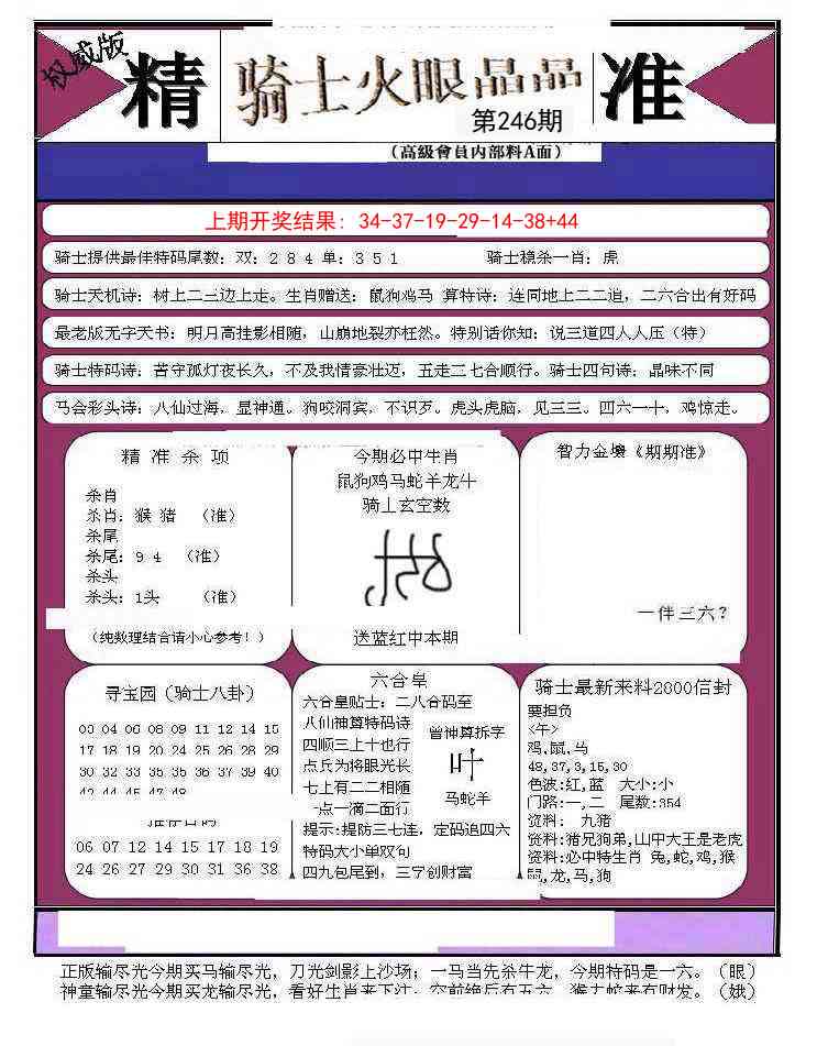 246期骑士火眼晶晶B[图]