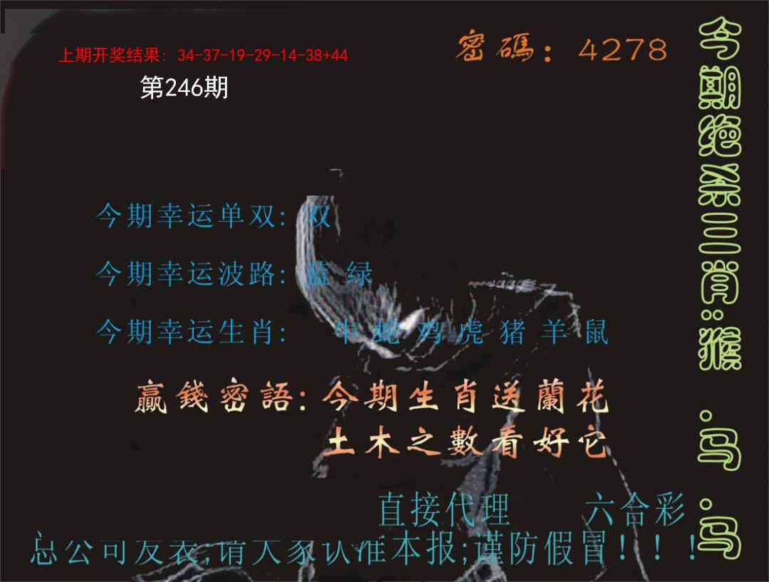 246期特码报[图]
