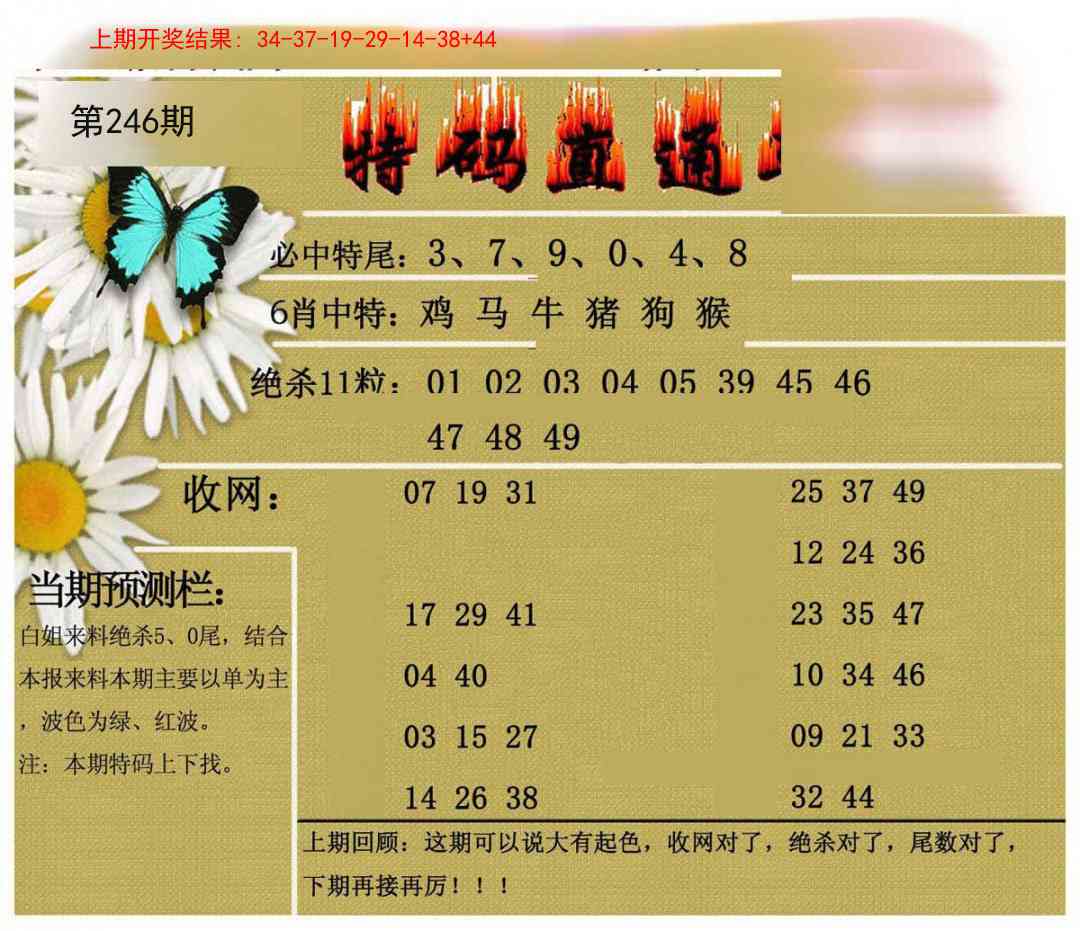 246期特码直通车[图]