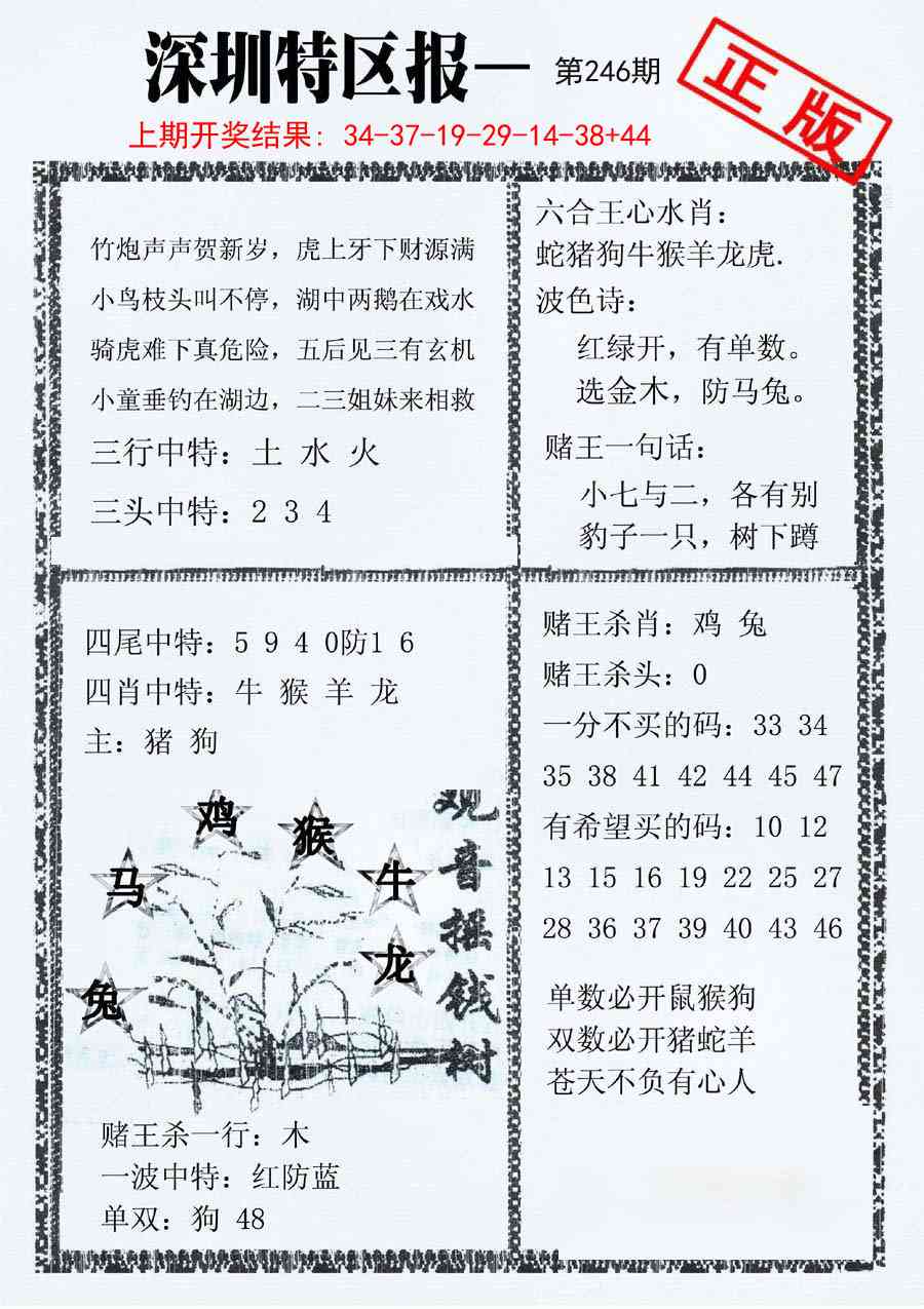 246期深圳特区报A[图]