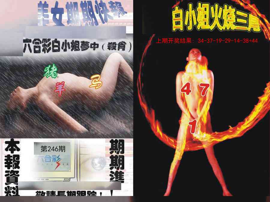 246期环球美女特码报[图]