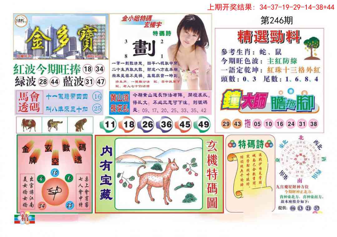 246期金多宝[图]