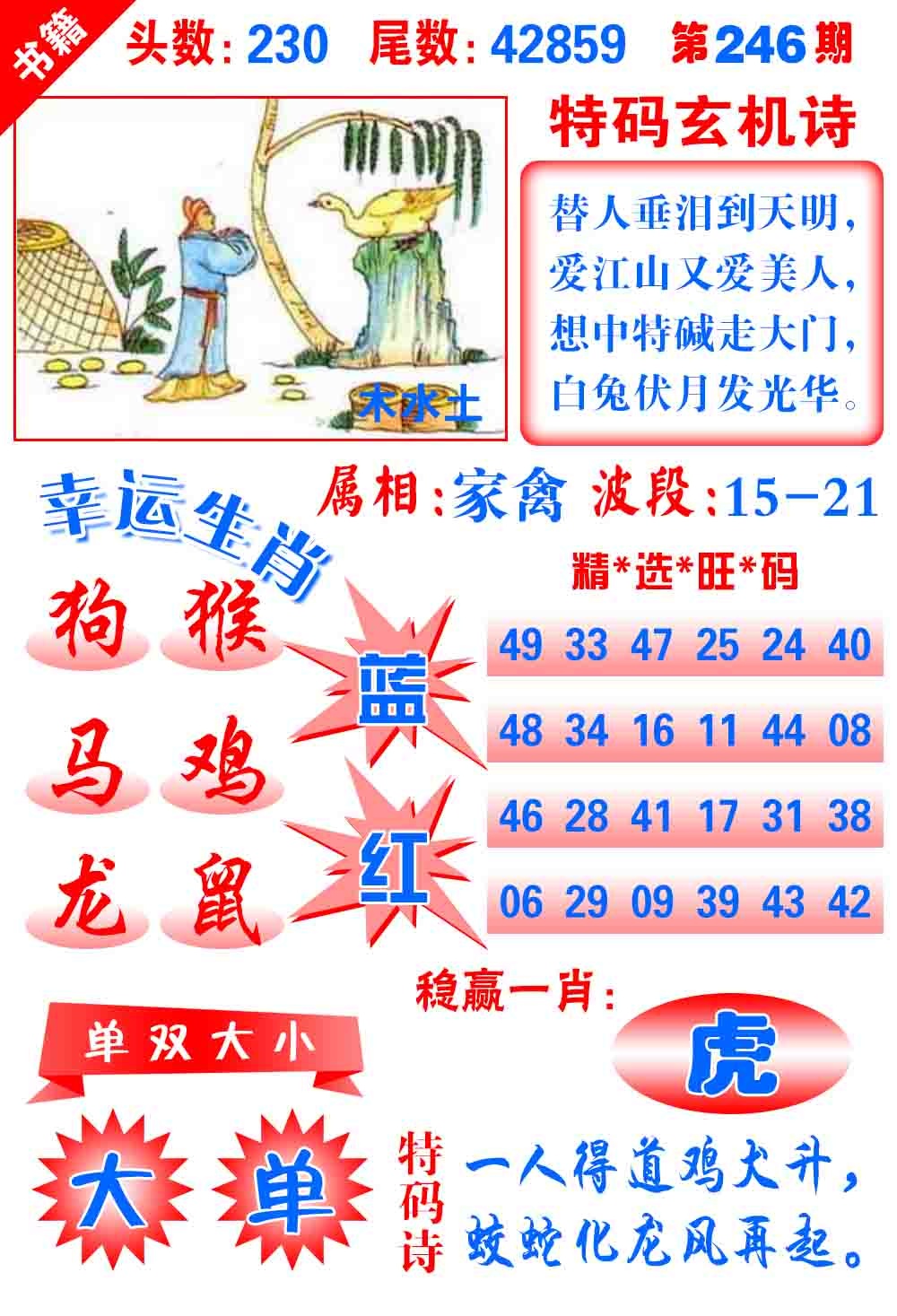 246期澳门铜宝典[图]