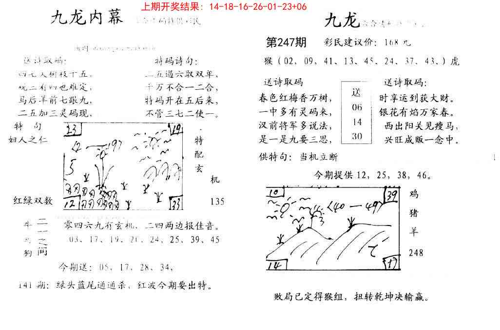 247期九龙内幕[图]