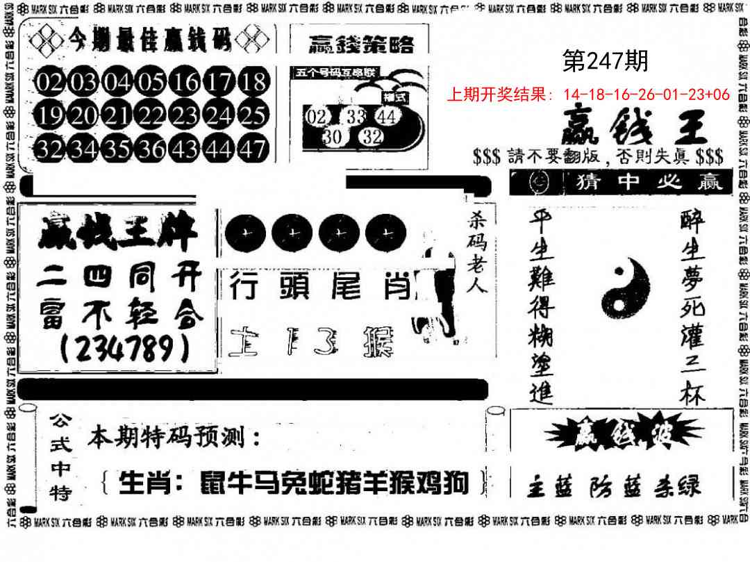 247期赢钱料[图]