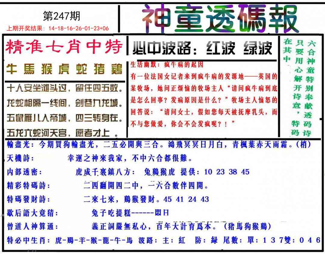 247期神童透码报[图]