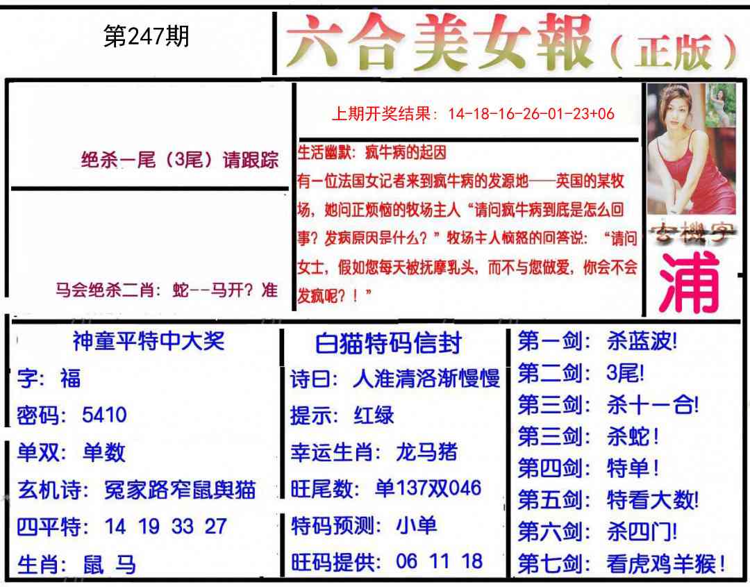 247期美女报[图]