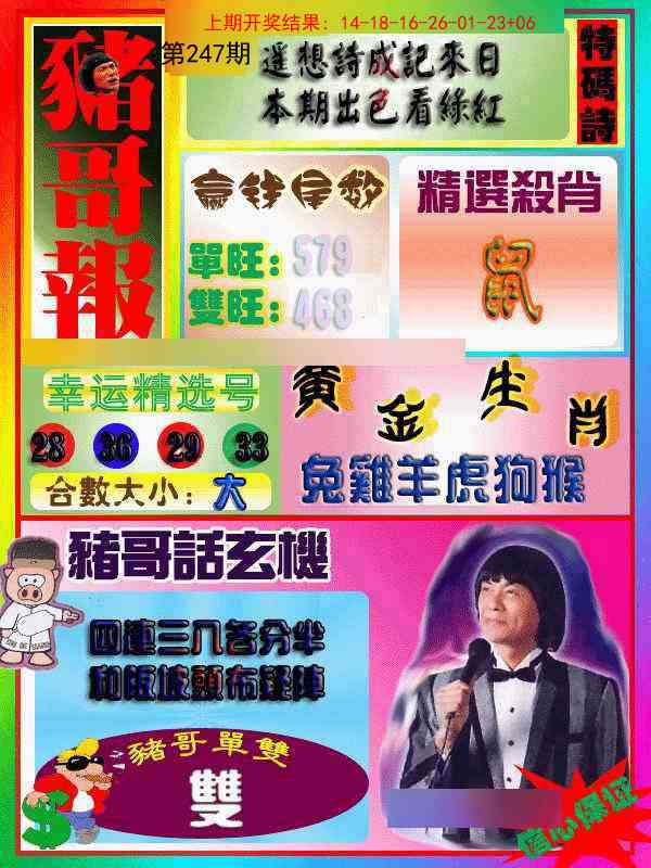 247期猪哥报[图]
