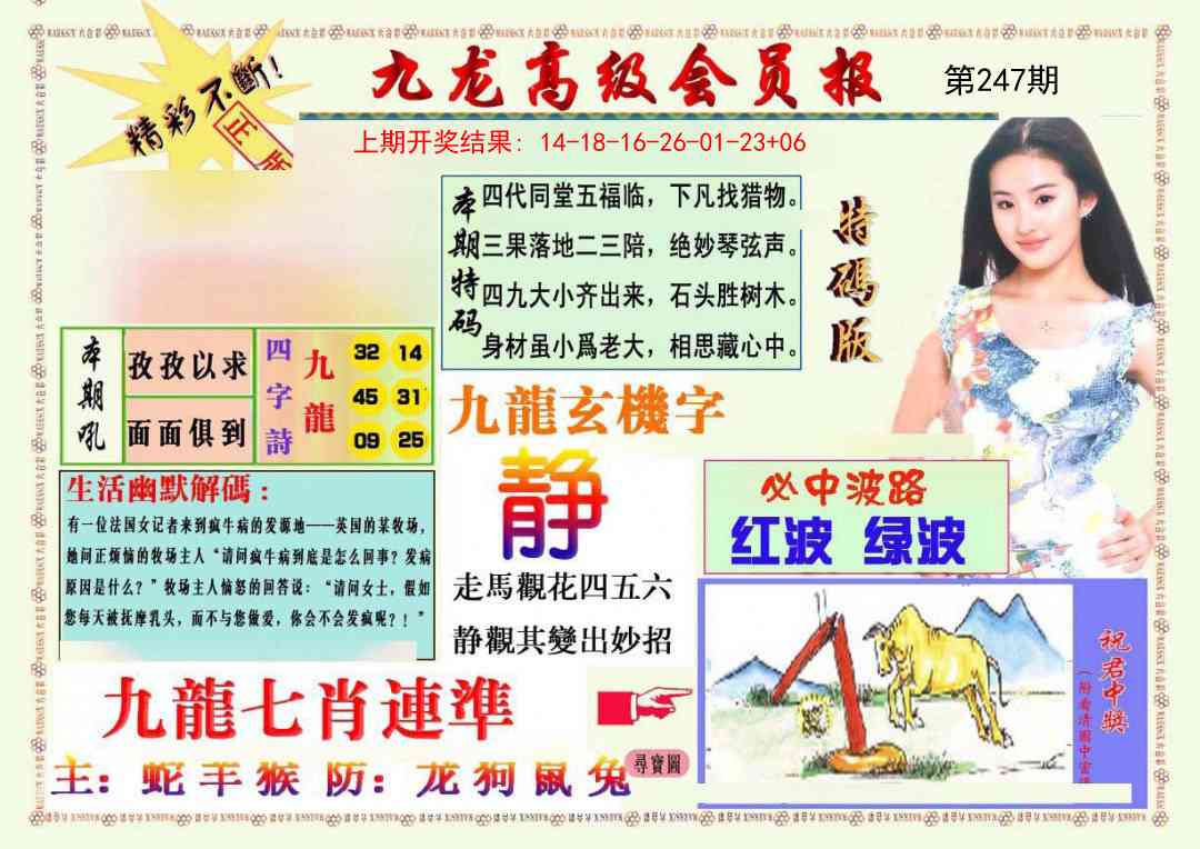 247期九龙高级会员报[图]