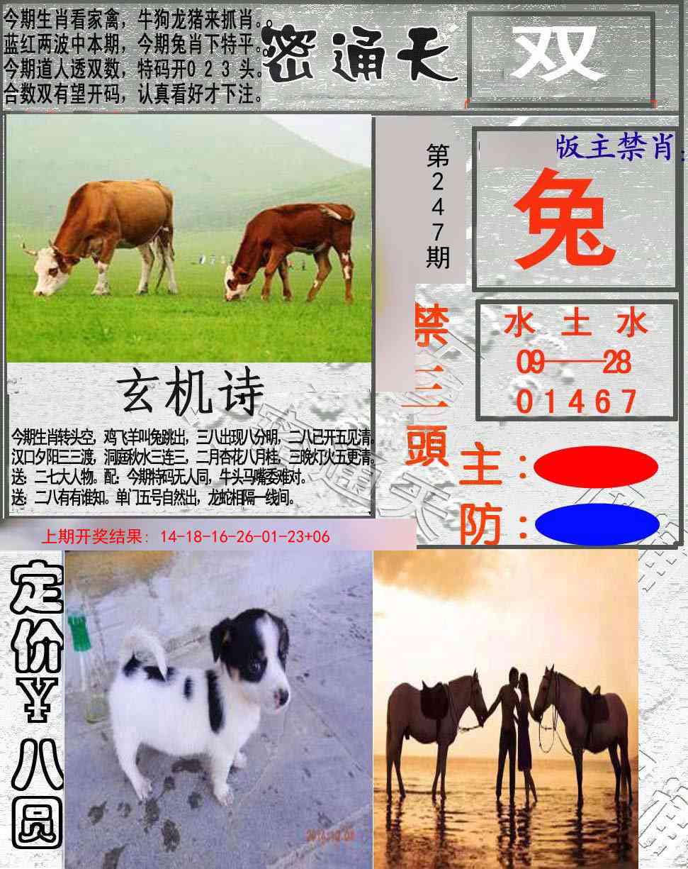 247期密通天[图]