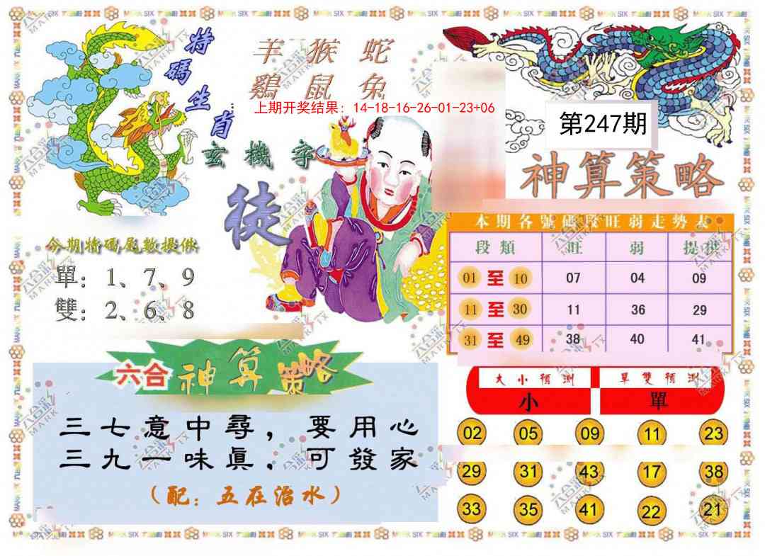 247期神算策略[图]