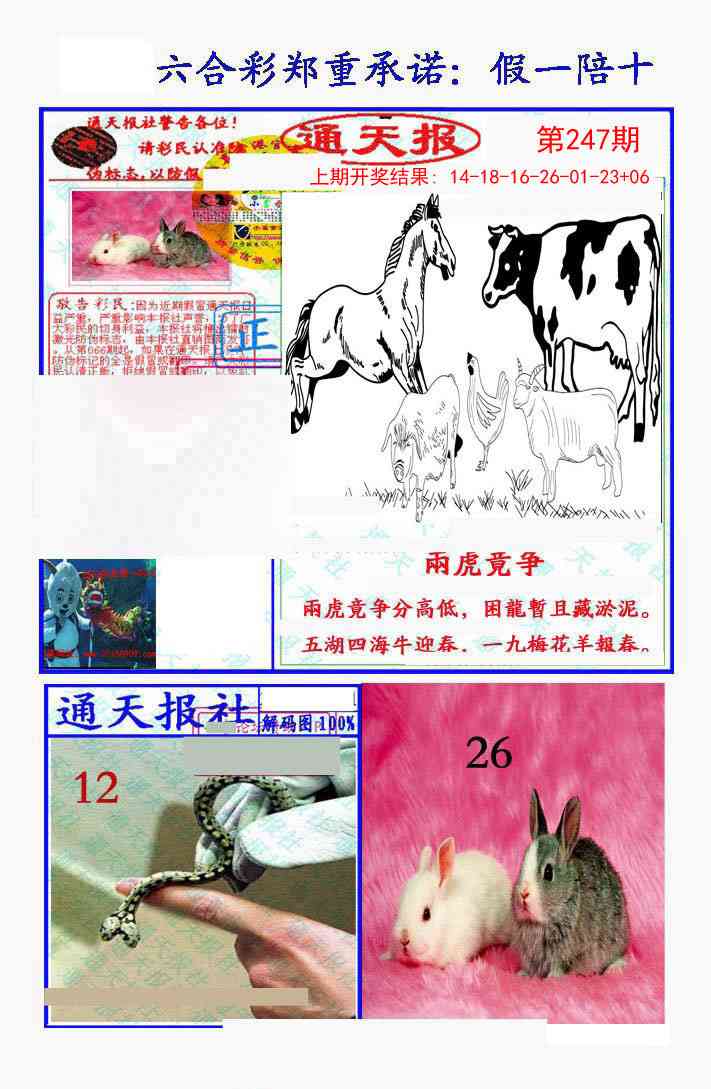 247期假一陪十通天报[图]