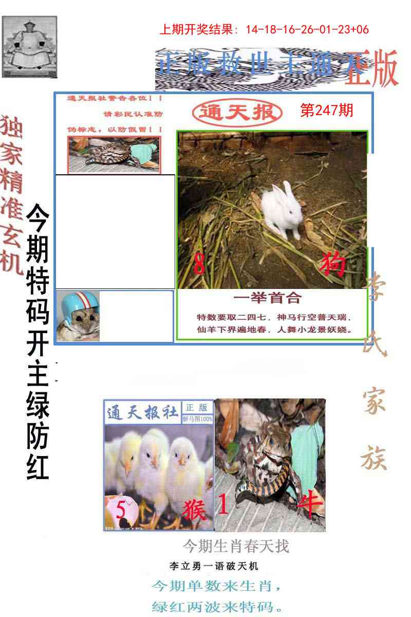 247期李力勇通天报[图]