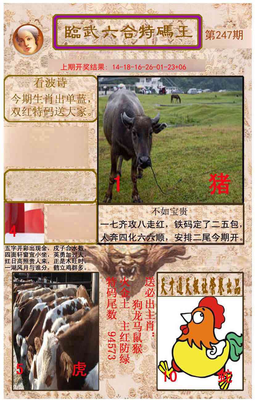247期临武六合特码王[图]