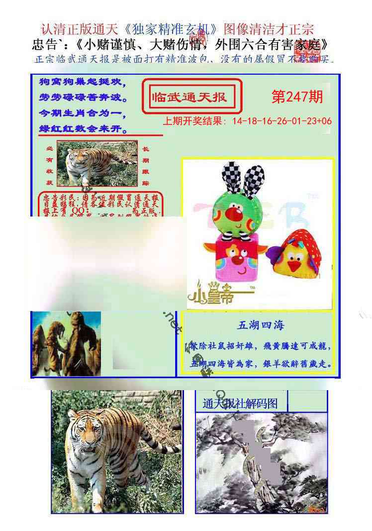 247期临武通天报[图]