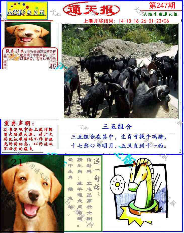 247期大陆通天报[图]