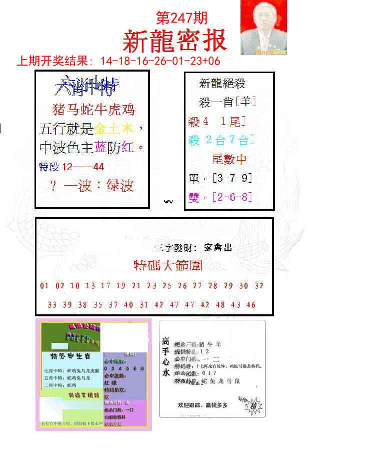 247期新龙密报[图]
