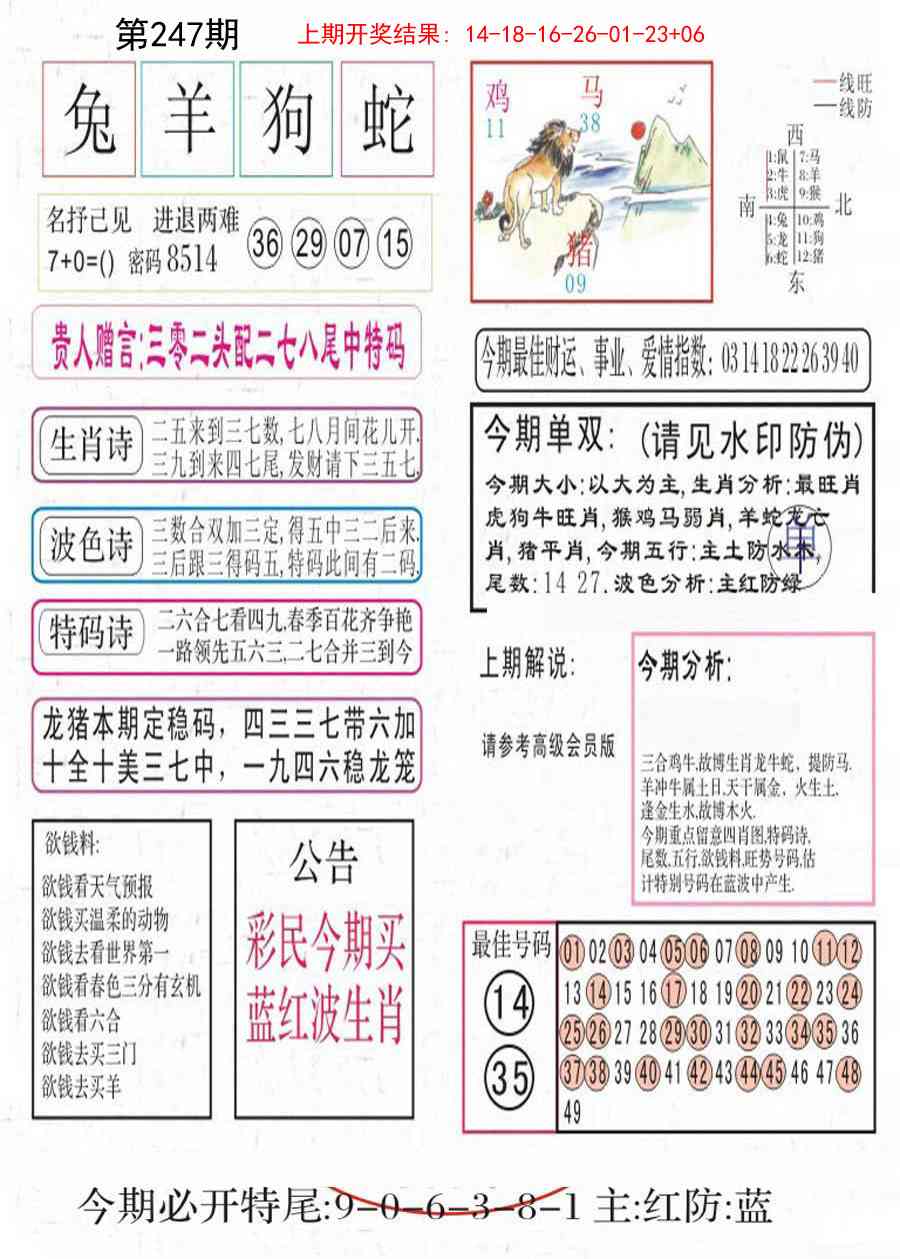 247期凤凰闲情A[图]
