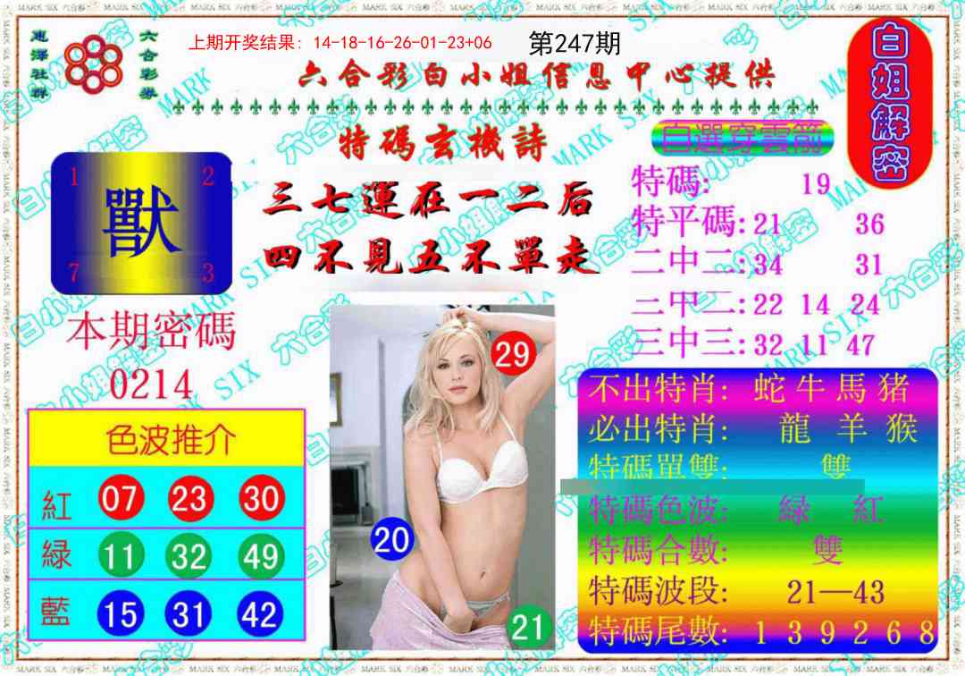 247期白姐解密《另版》[图]