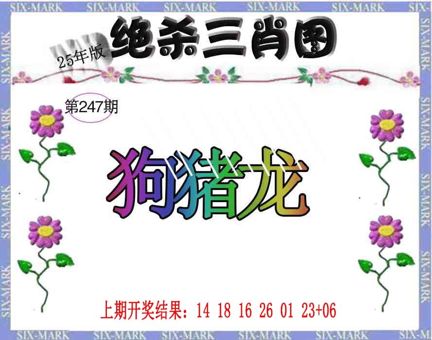 247期生财有道杀三肖[图]