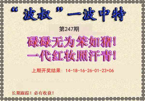 247期波叔一波中特[图]