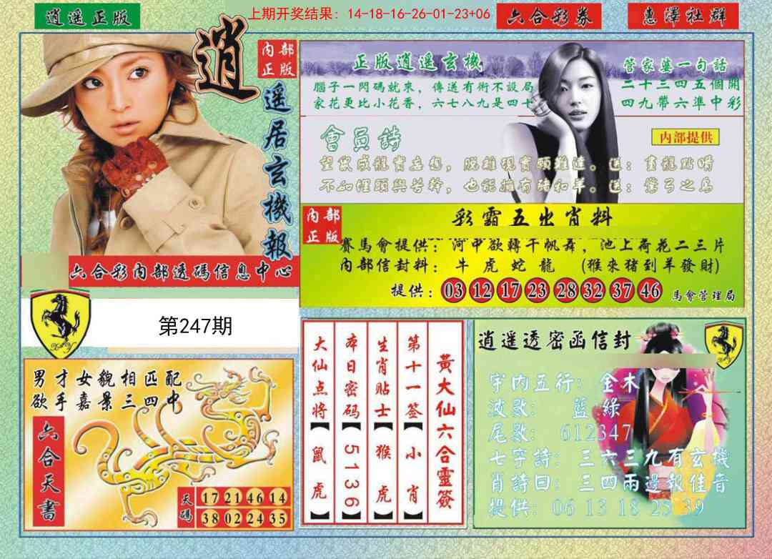 247期逍遥玄机报[图]