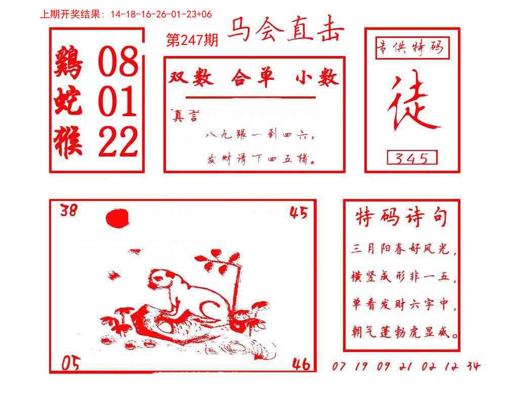 247期马会直击[图]