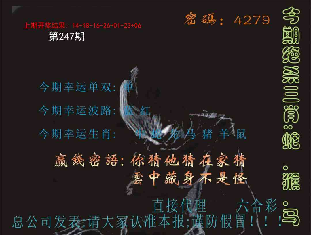 247期特码报[图]