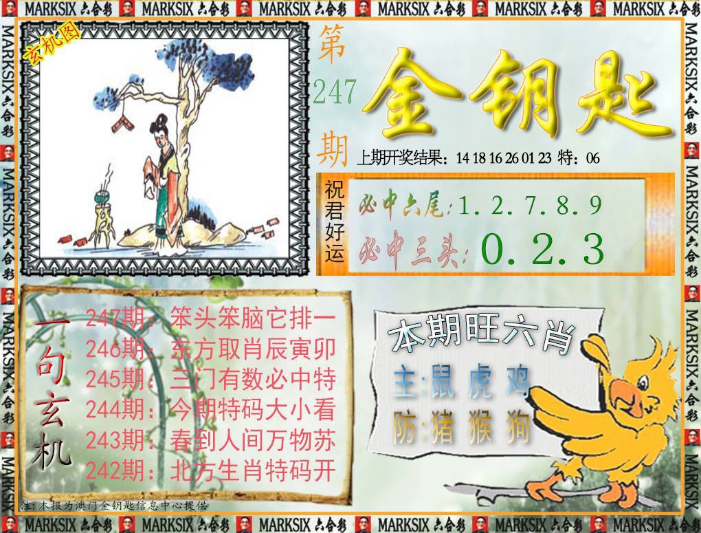 247期金钥匙[图]