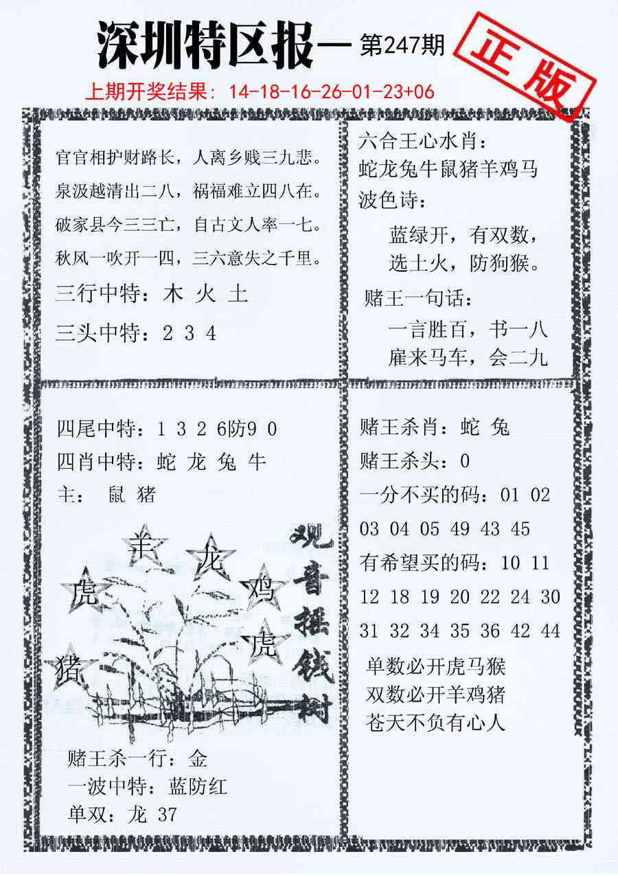 247期深圳特区报A[图]