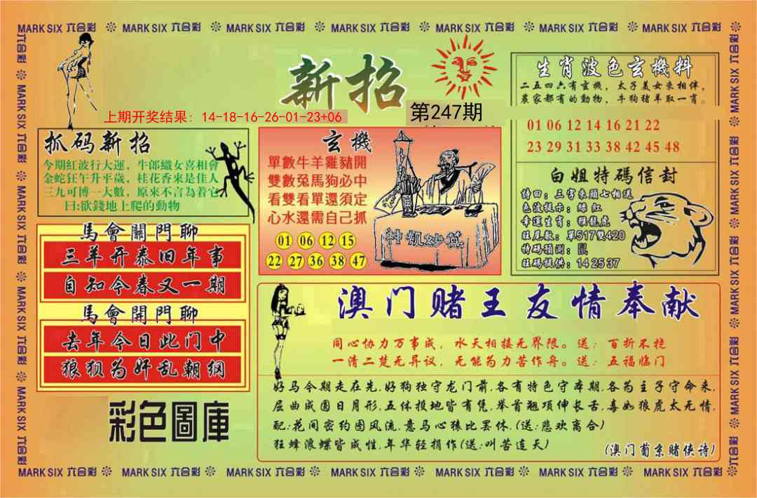 247期新招[图]