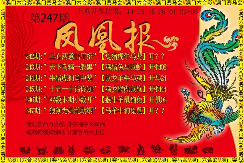 247期凤凰报[图]