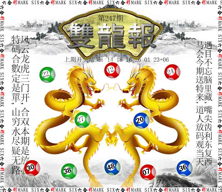 247期双龙报[图]
