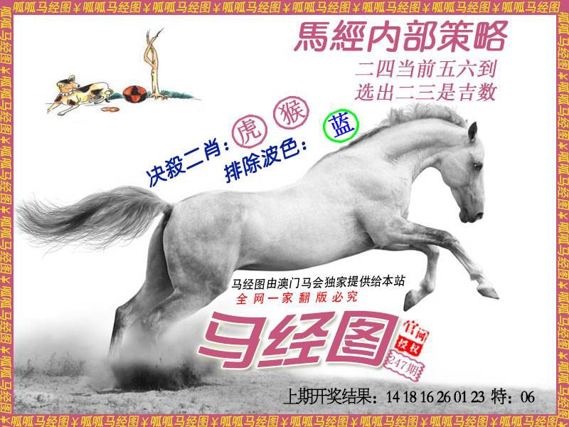 247期马经5[图]