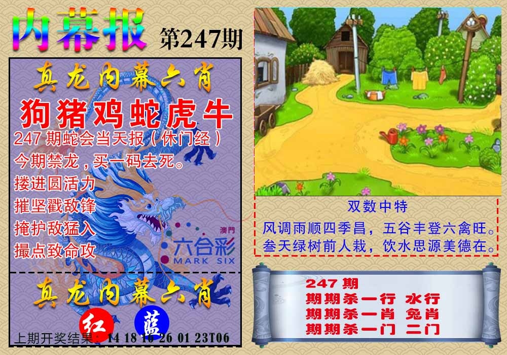 247期真龙内幕报[图]