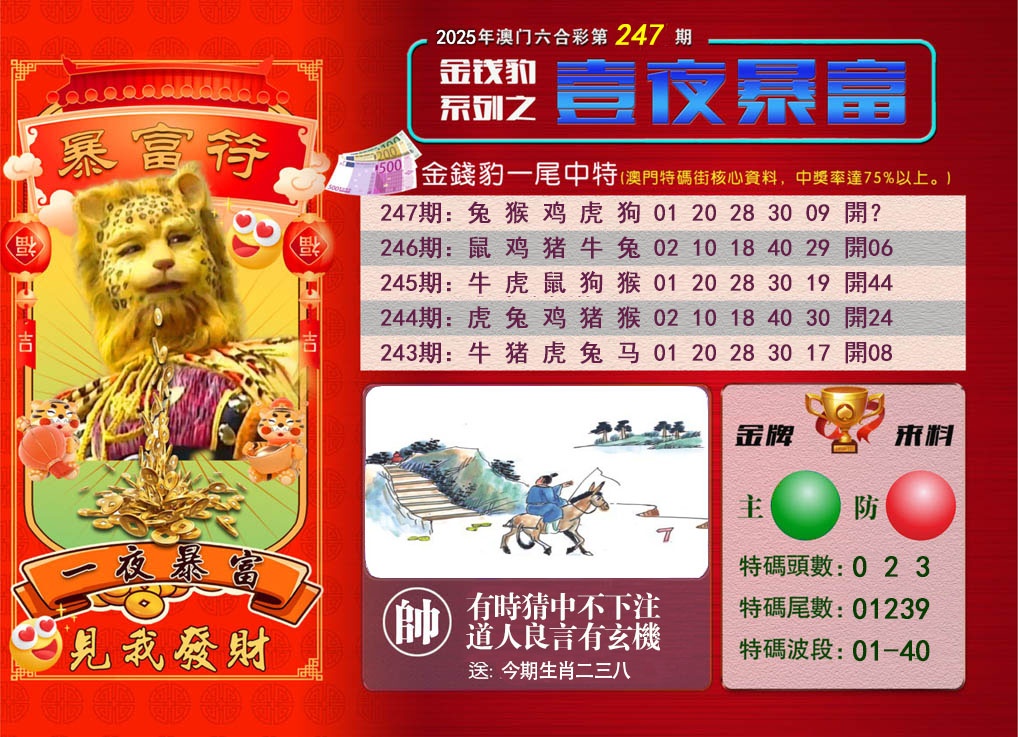 247期一夜暴富[图]