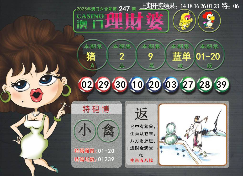 247期澳门理财婆[图]