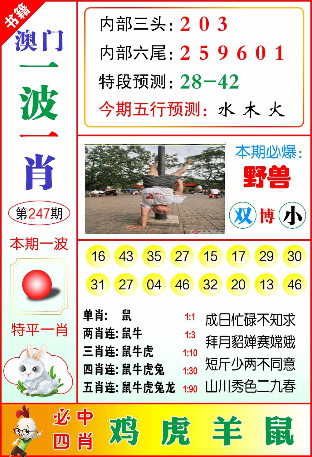 247期澳门一波一肖[图]