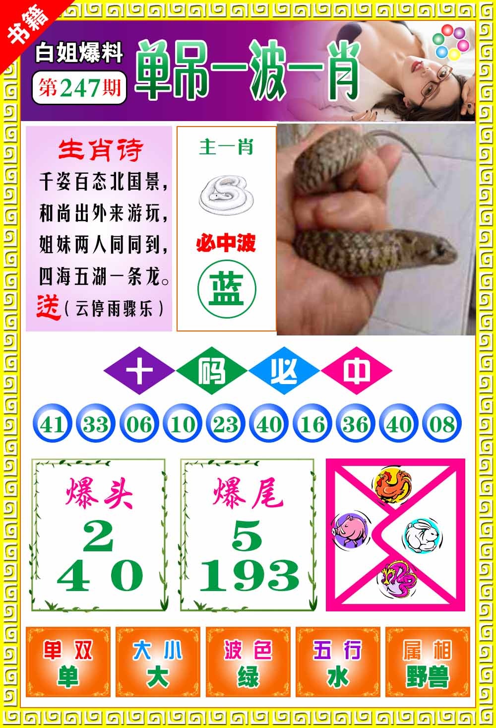 247期澳门白姐暴肖[图]