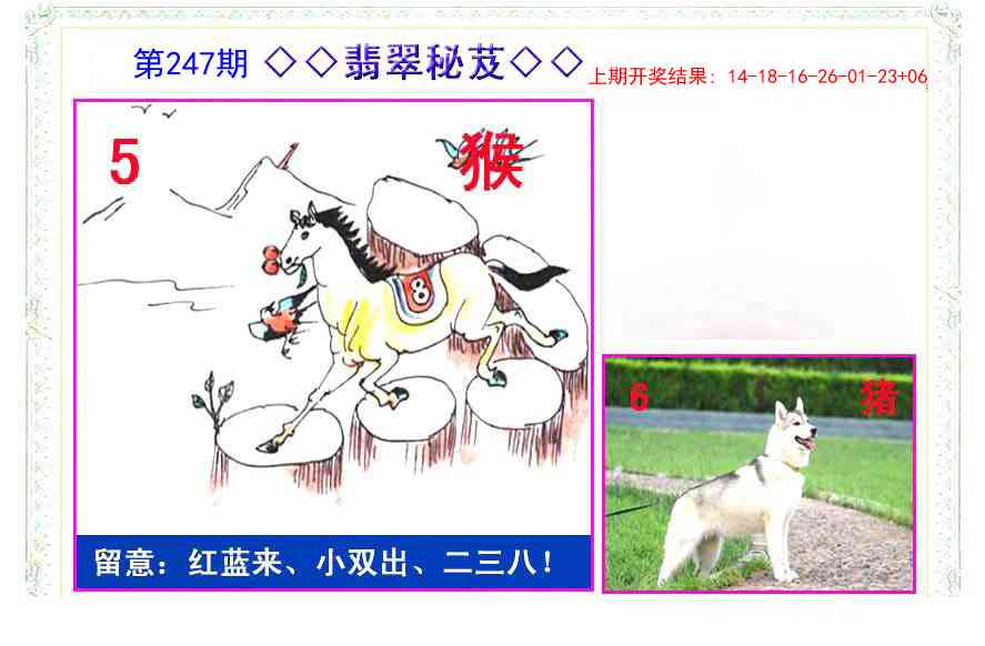 247期翡翠报[图]