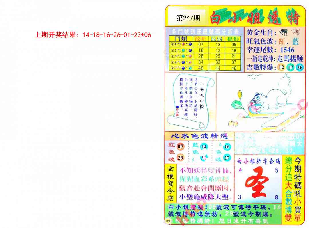 247期白小姐透特[图]