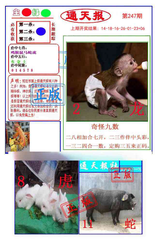 247期通天杀波图1[图]