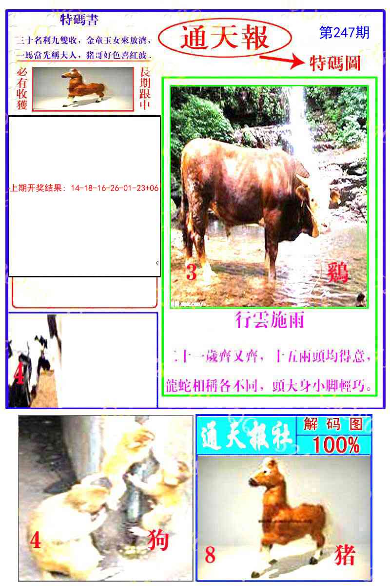 247期通天特解图[图]