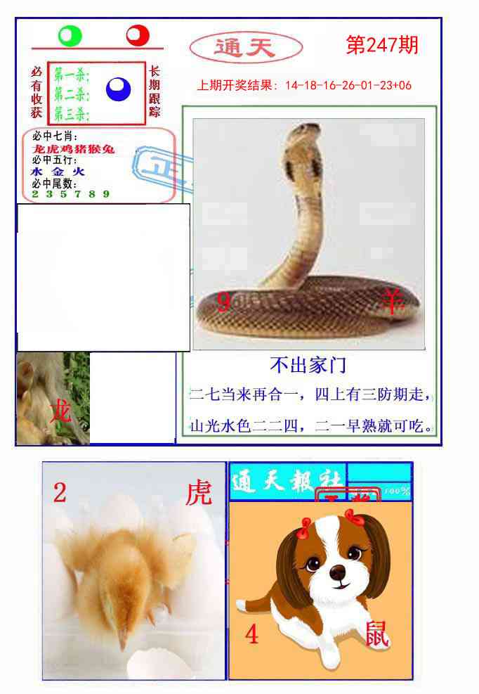 247期通天杀波图2[图]