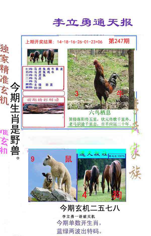 247期李立勇通天报[图]