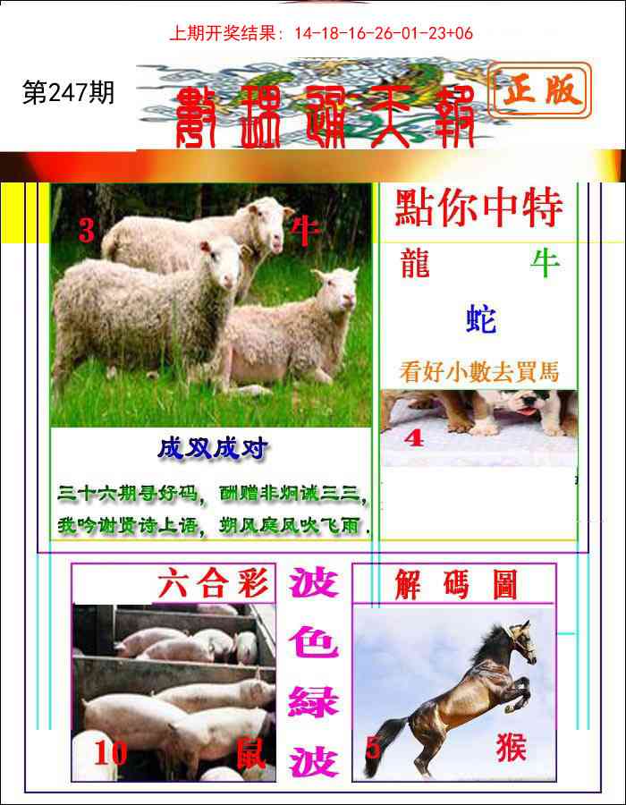 247期数理通天[图]