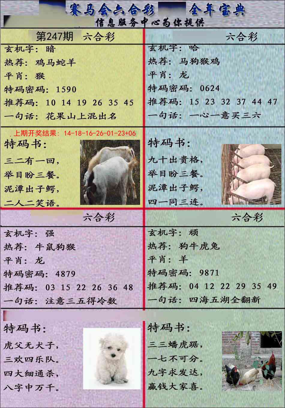 247期宝典报[图]