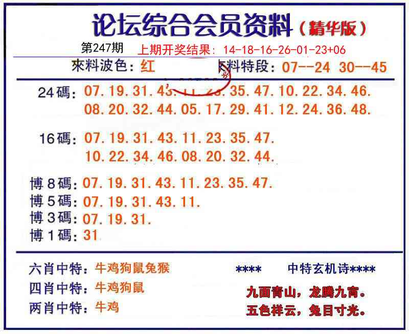 247期综合会员资料[图]