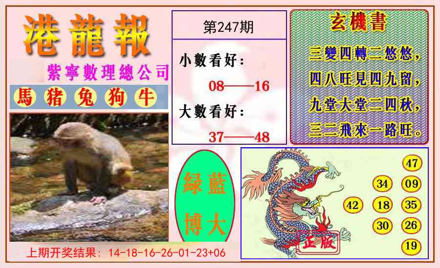 247期港龙报[图]