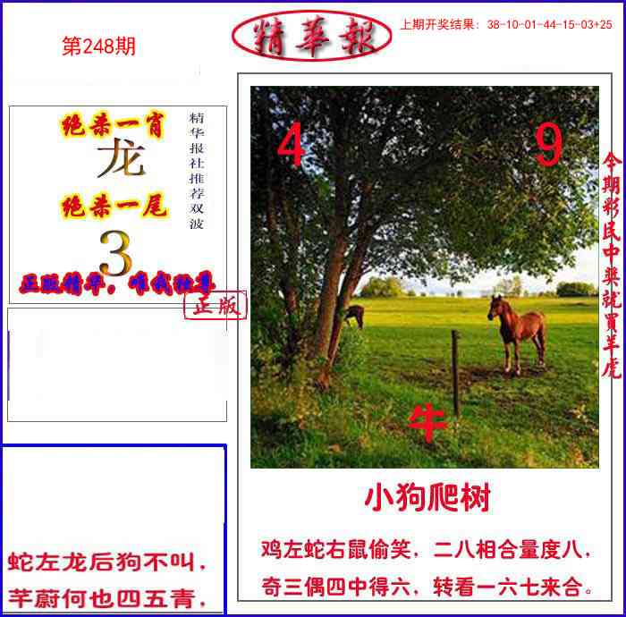 248期新精华报报[图]